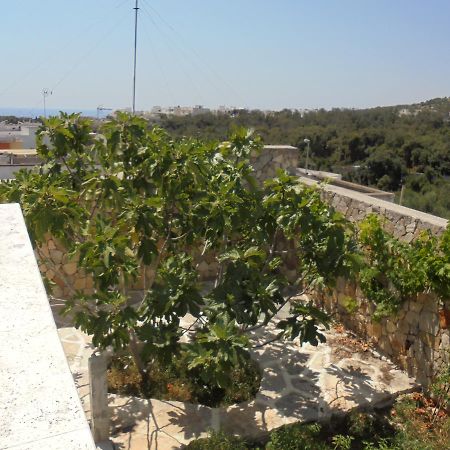 Le Turciane Casavacanze Castro  المظهر الخارجي الصورة
